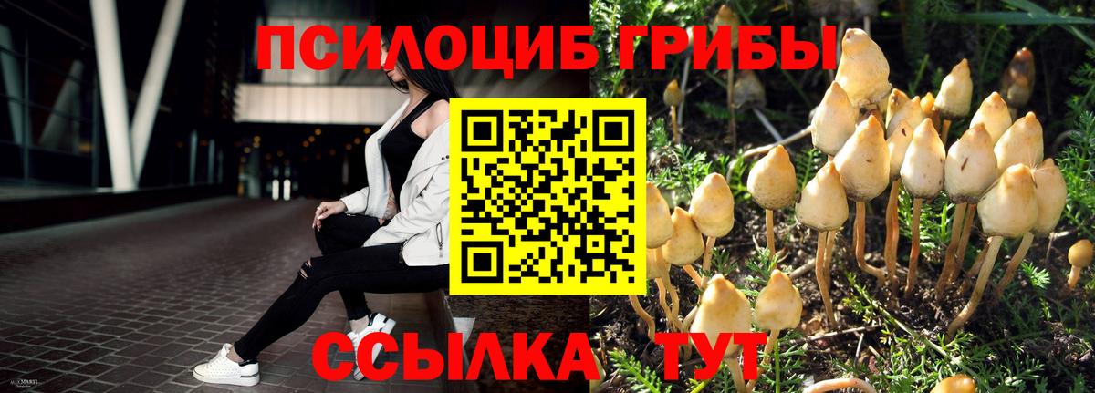 Псилоцибиновые грибы Magic Shrooms Ивантеевка